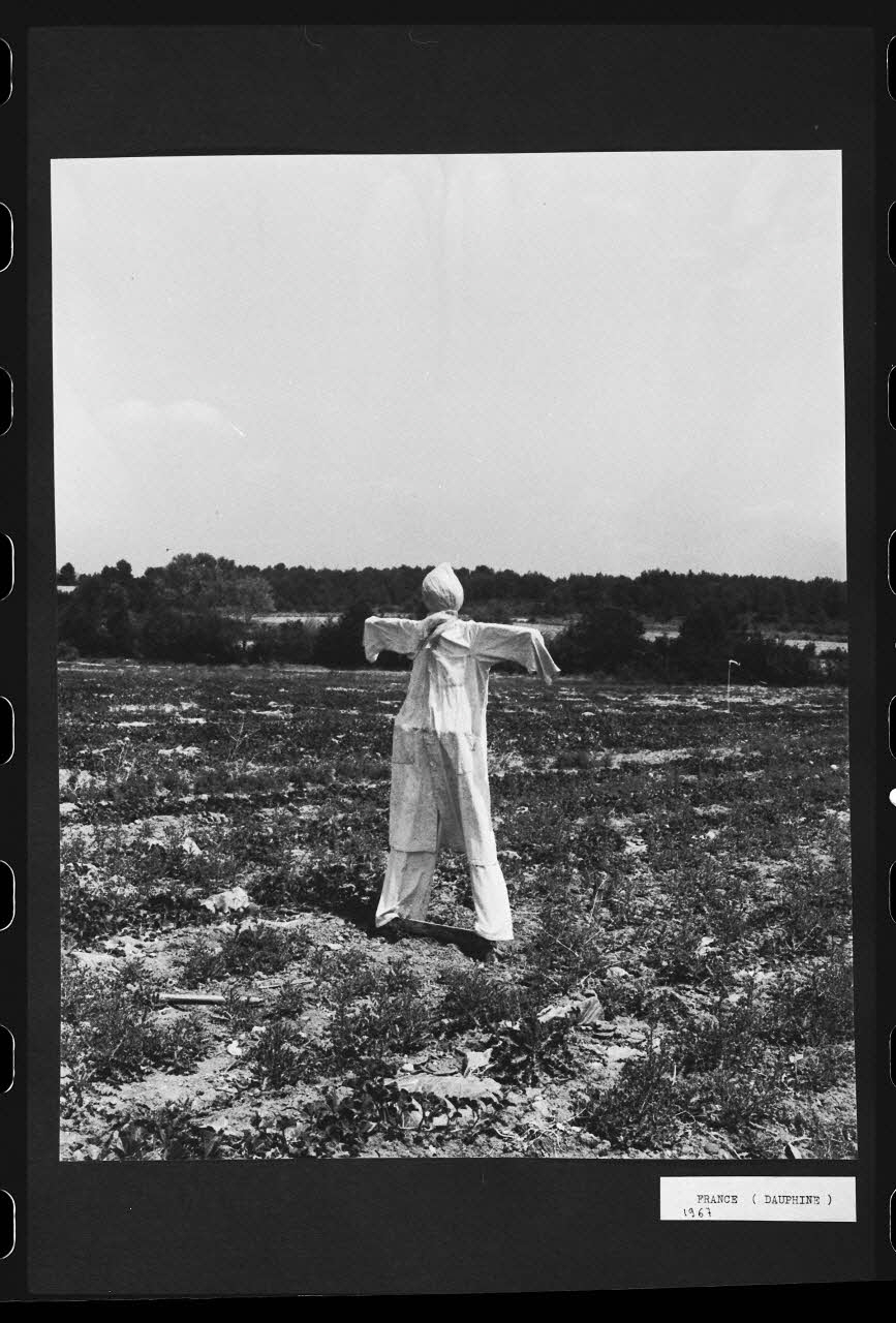 R. Dausset photographie Epouvantail pour la lutte contre les parasites Rhône-Alpes, France 1967 Ph.1980.28.19 Photo