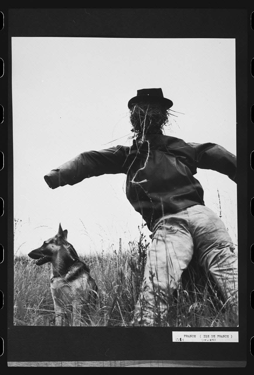 R. Dausset photographie Epouvantail pour la lutte contre les parasites Ile-de-France, France 1964 Ph.1980.28.20 Photo