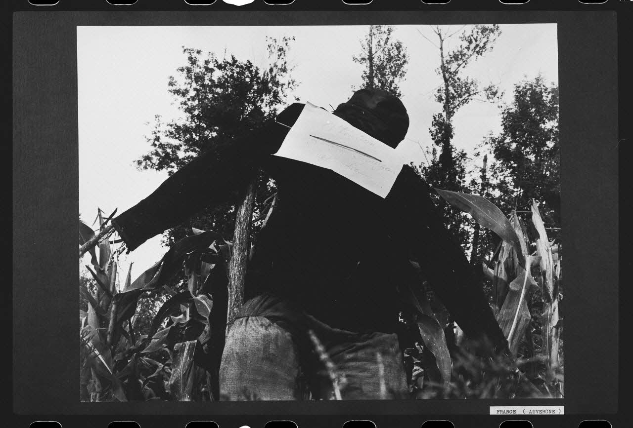 R. Dausset photographie "Attention Bouzi Bouzou est là". Epouvantail pour la lutte contre les parasites Auvergne, France 1964 Ph.1980.28.21 Photo