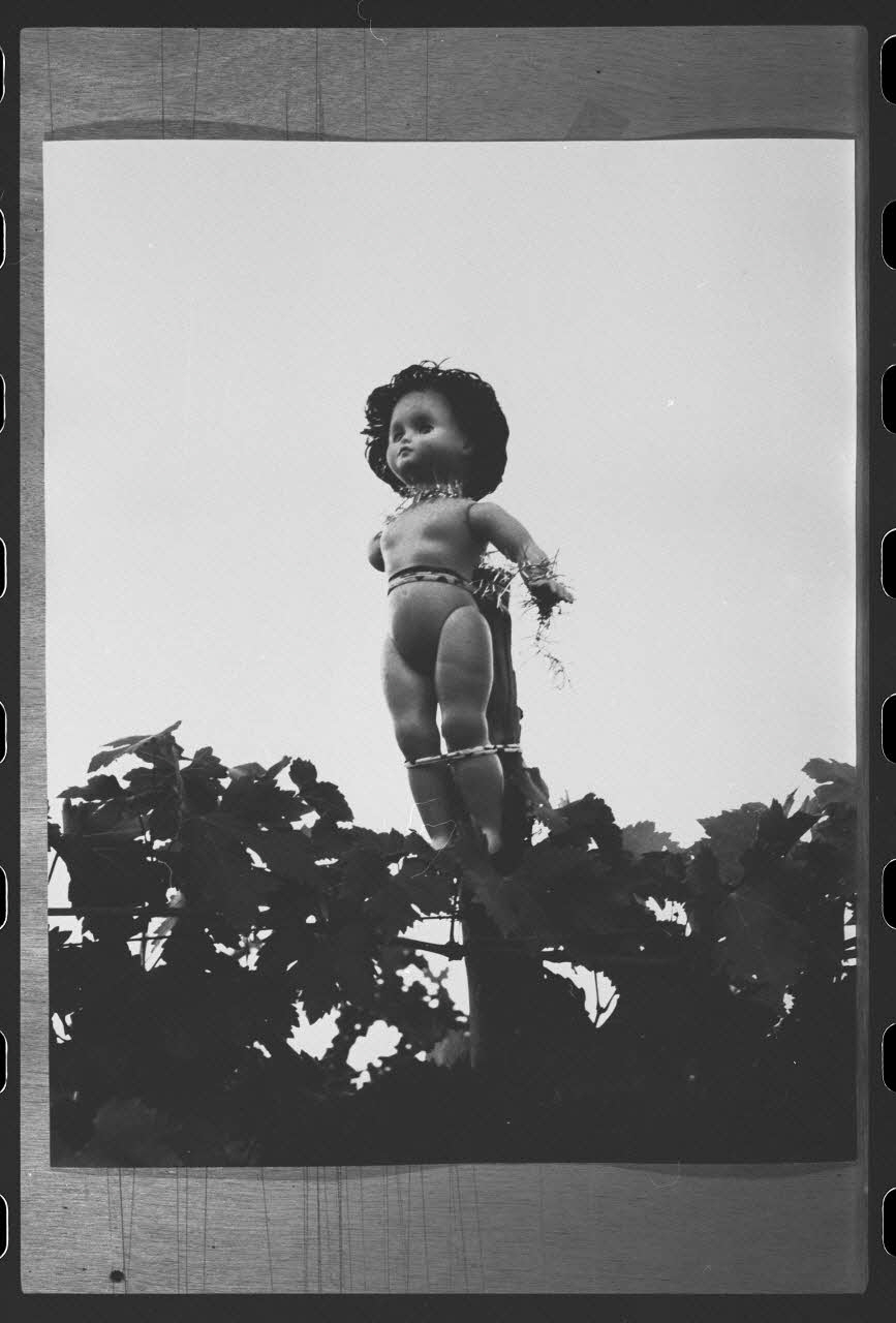 R. Dausset photographie Epouvantail pour la lutte contre les parasites Provence-Alpes-Côte d'Azur, France 1975 Ph.1980.28.24 Photo
