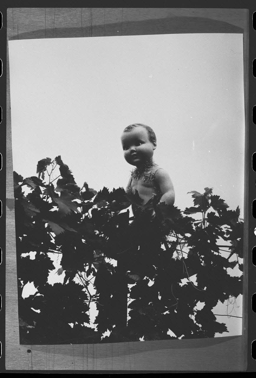 R. Dausset photographie Epouvantail pour la lutte contre les parasites Provence-Alpes-Côte d'Azur, France 1975 Ph.1980.28.25 Photo