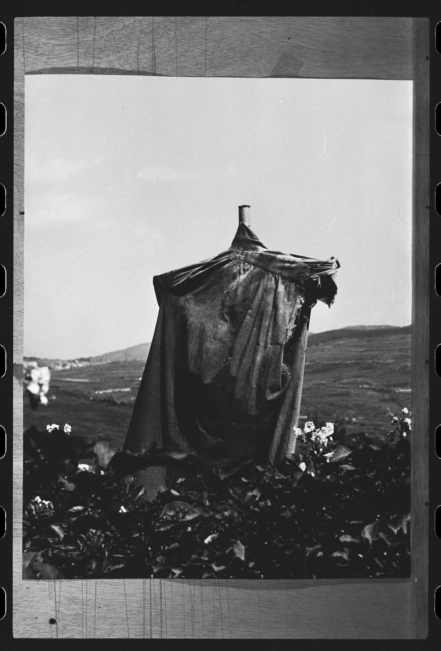 R. Dausset photographie Epouvantail pour la lutte contre les parasites Languedoc-Roussillon, France 1978 Ph.1980.28.26 Photo