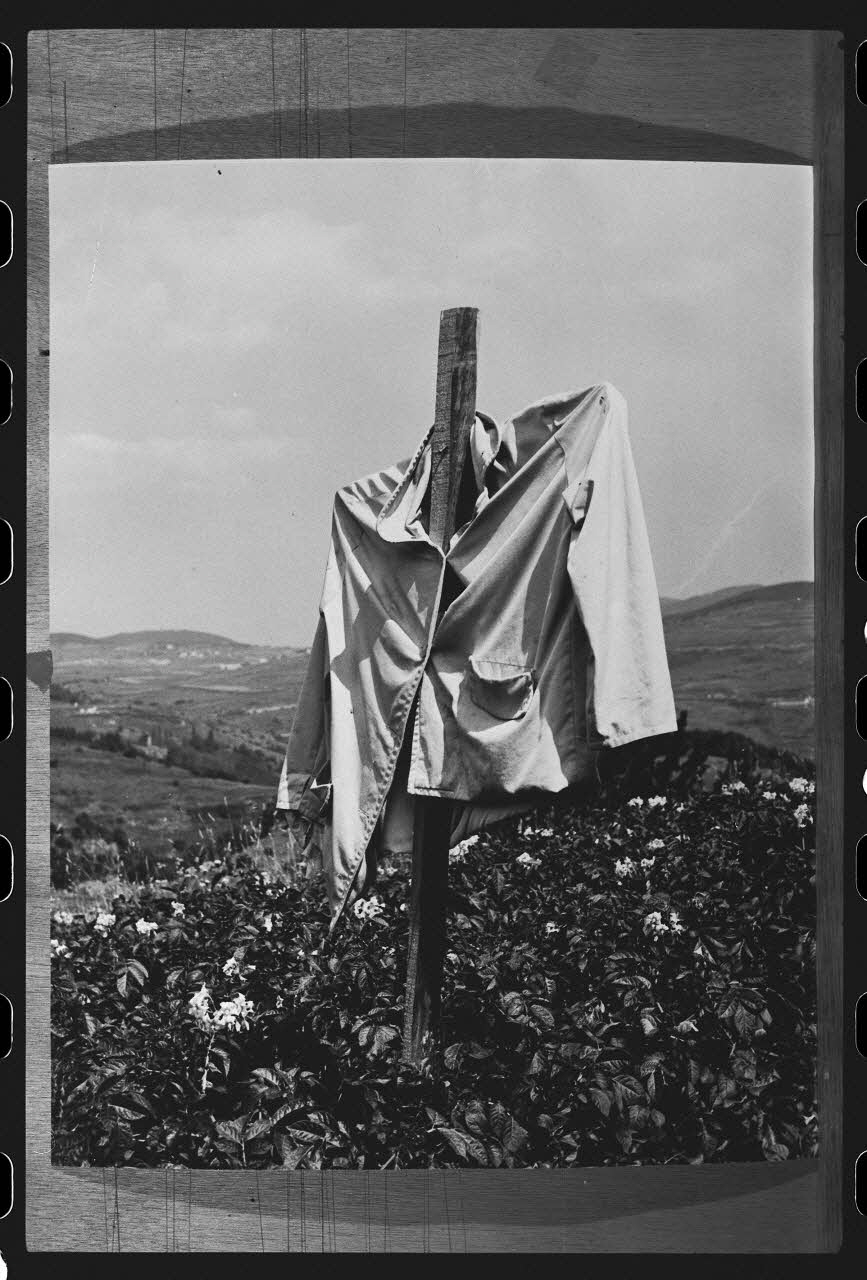 R. Dausset photographie Epouvantail pour la lutte contre les parasites Languedoc-Roussillon, France 1978 Ph.1980.28.28 Photo