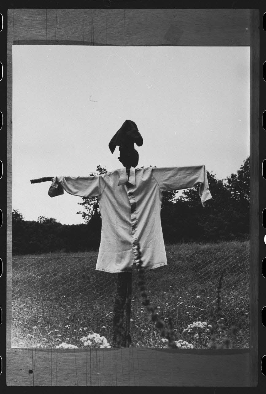 R. Dausset photographie Epouvantail pour la lutte contre les parasites France 1978 Ph.1980.28.30 Photo