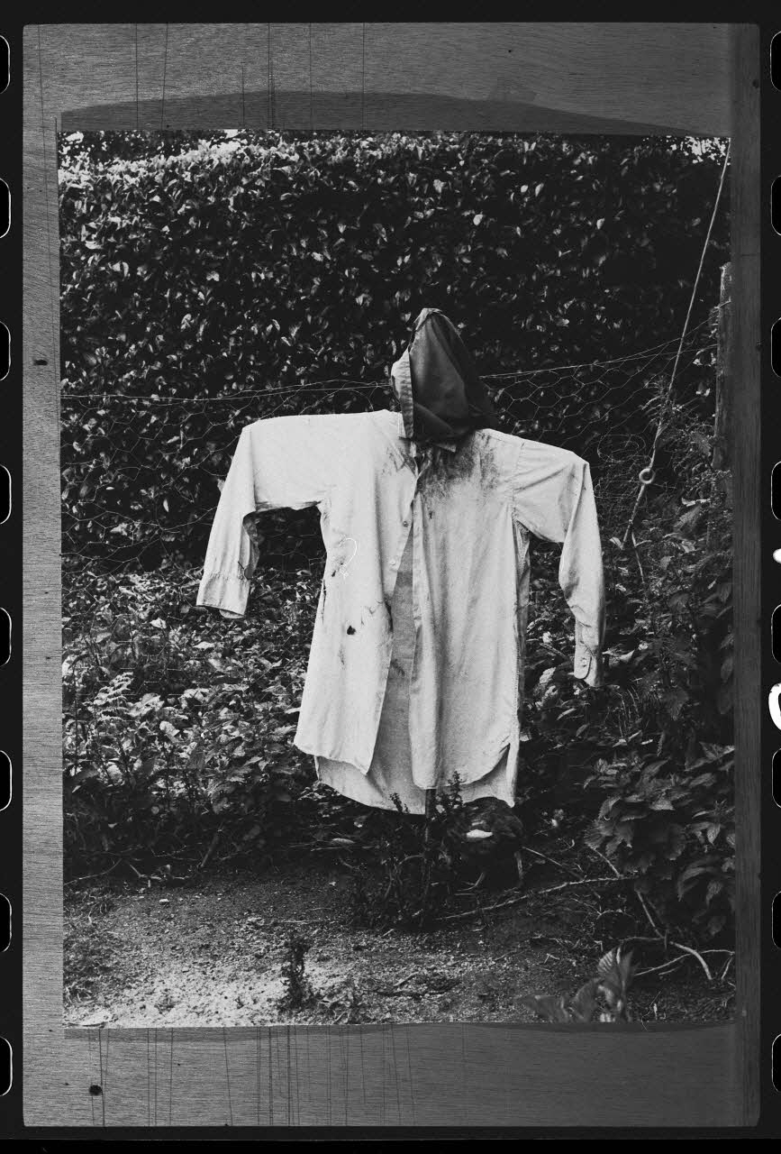 R. Dausset photographie Epouvantail pour la lutte contre les parasites France 1978 Ph.1980.28.31 Photo