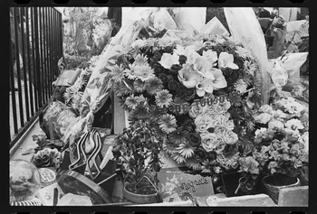 J. Beaudenom photographie Commémoration du défunt Claude François (1980). Couronne mortuaire mise sur la tombe de Claude François Ile-de-France, France 1980/3/8 Ph.1980.32.58 Photo