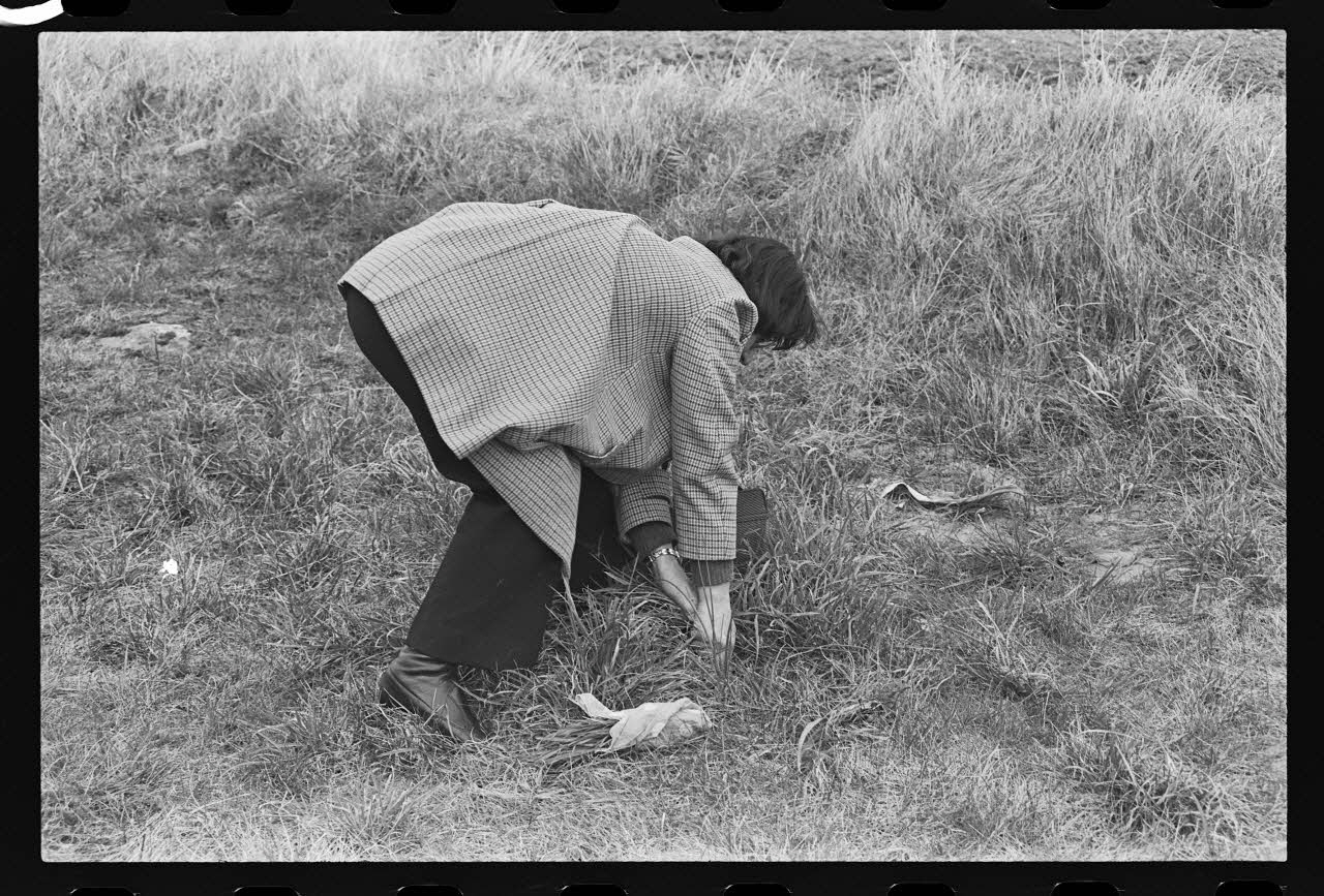 photographie Une femme ramasse de l'herbe pour son chat Ph.1980.32.75 Photo