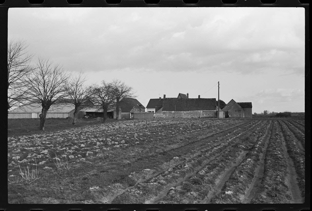 photographie MNATP. Chantier 1425. Enquête sur l'architecture rurale de la France (1968-1990) Ph.1980.326.104 Photo