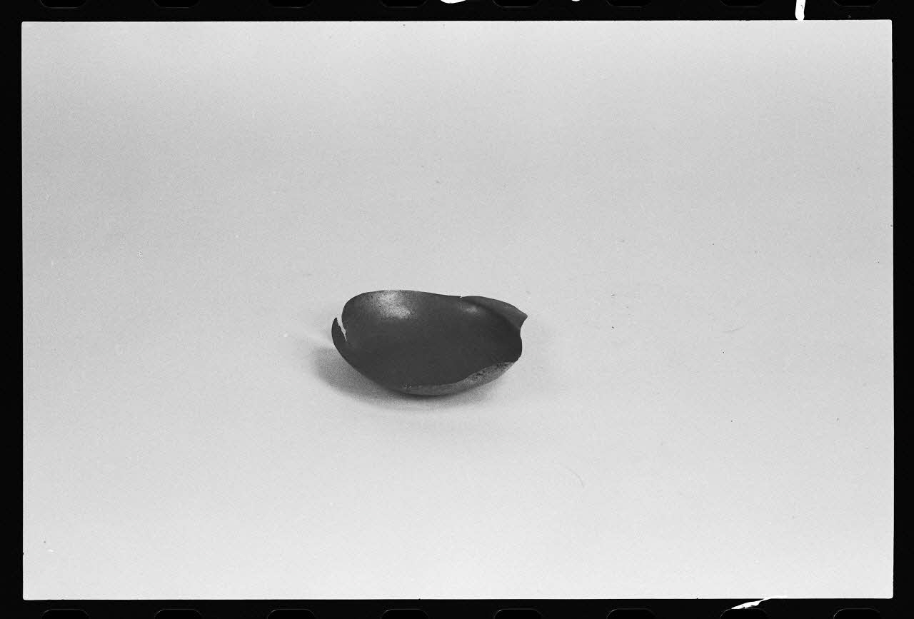 photographie Lampe à un godet ouvert Ph.1981.1.314 Photo