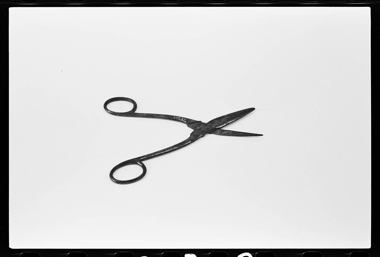 photographie Mouchettes Ph.1981.1.370 Photo