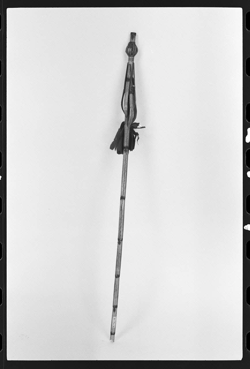 photographie Quenouille Ph.1981.1.417 Photo