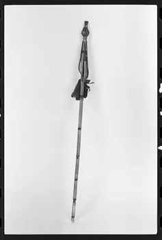 photographie Quenouille Ph.1981.1.417 Photo