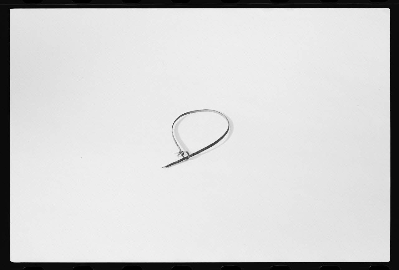 photographie Piège de type "collet" à fanon de baleine Ph.1981.1.589 Photo