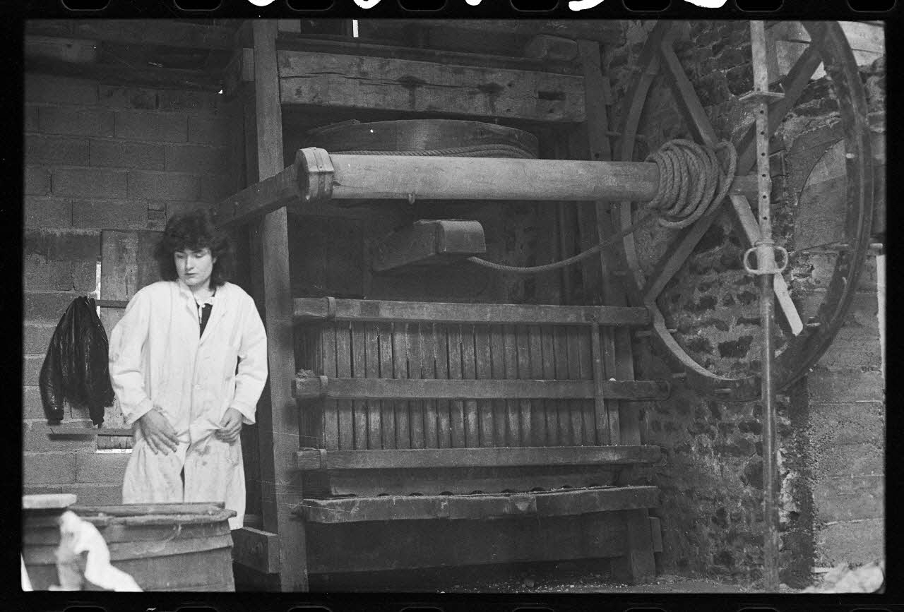 photographie Pressoir à roue et à corde dans le chai. Modifié au 19è siècle Ph.1985.32.1 Photo