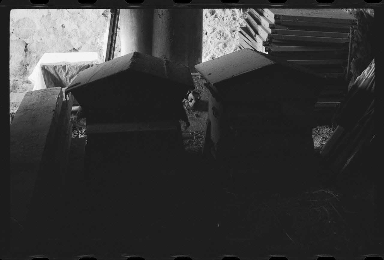 photographie Ruche Ph.1985.33.26 Photo
