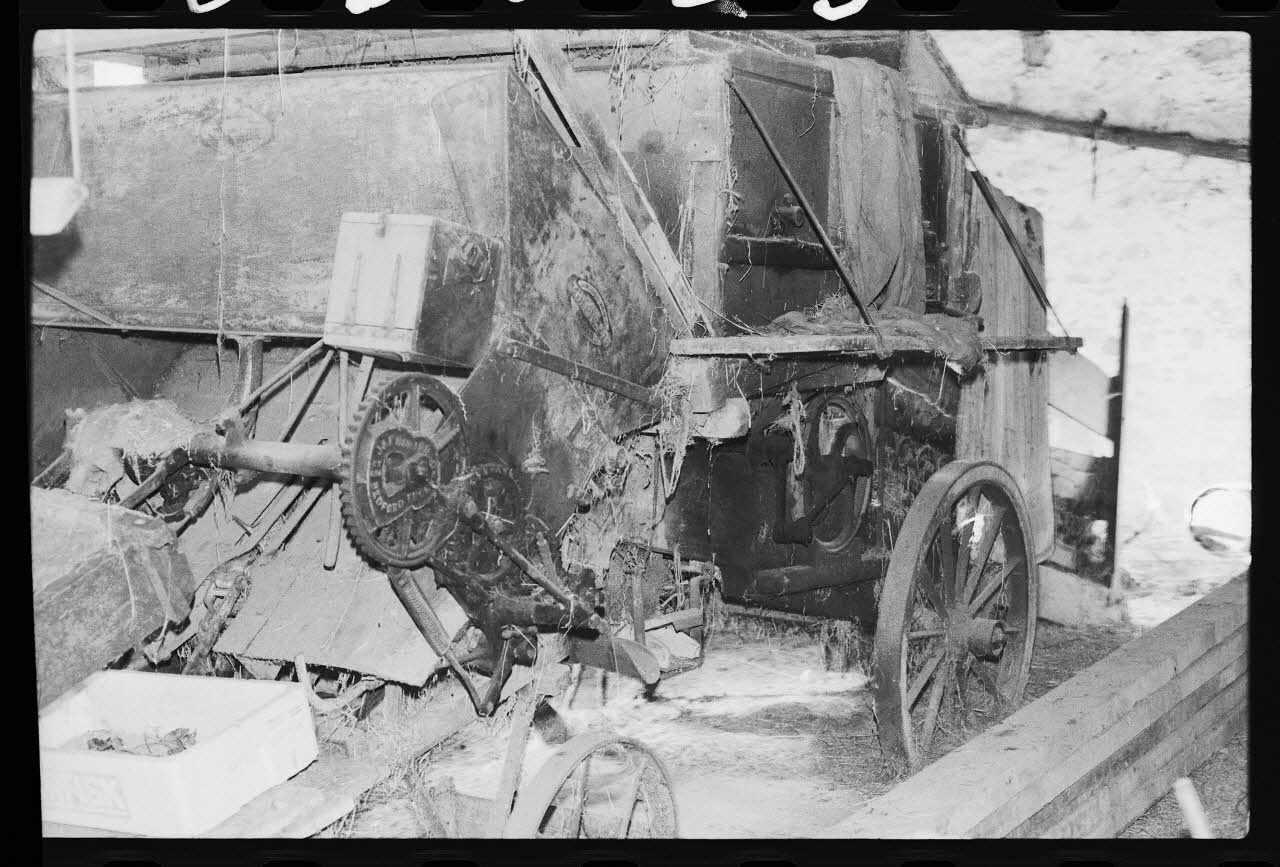 photographie Trépigneuse Ph.1985.33.30 Photo