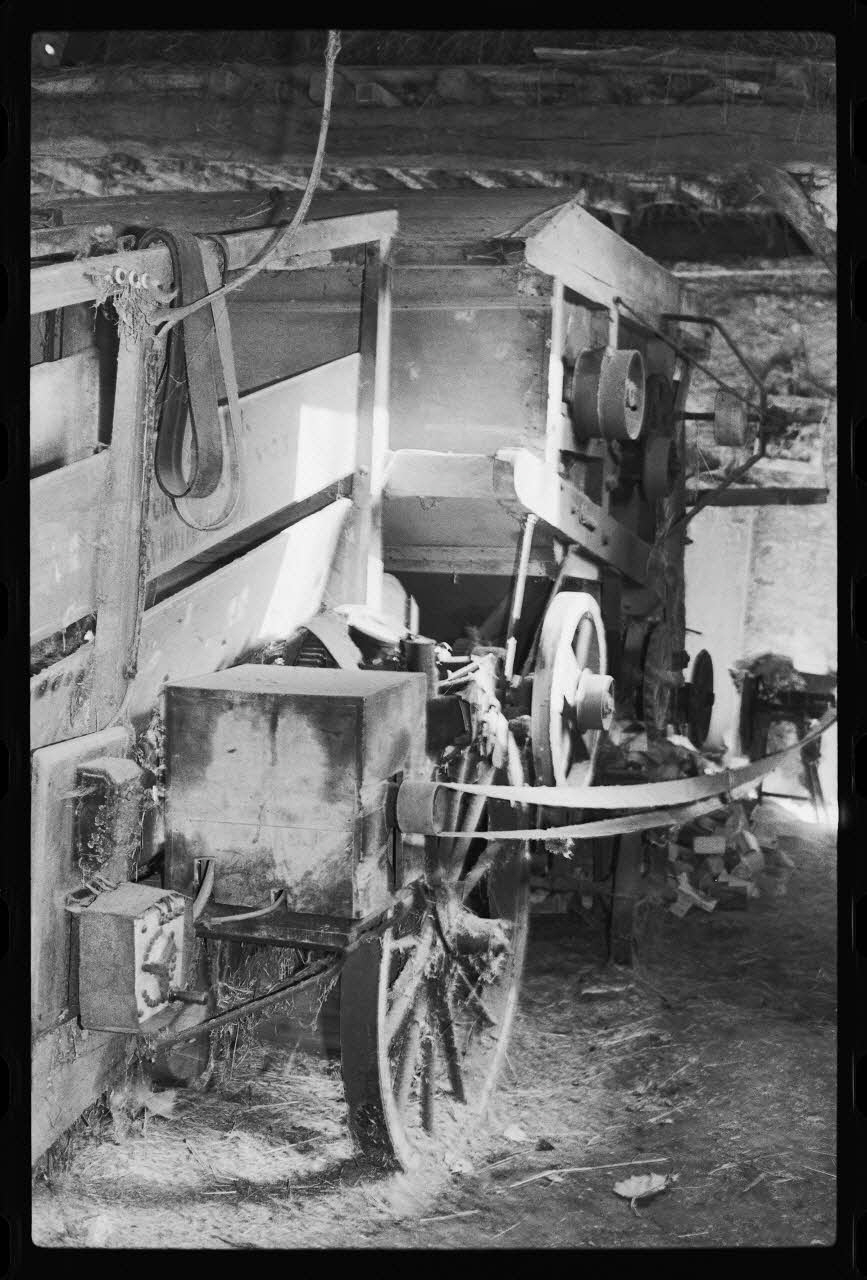 photographie Trépigneuse Ph.1985.33.32 Photo