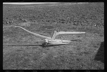 photographie Araire préparant le sol pour le travail de la vigne Ph.1985.66.1 Photo