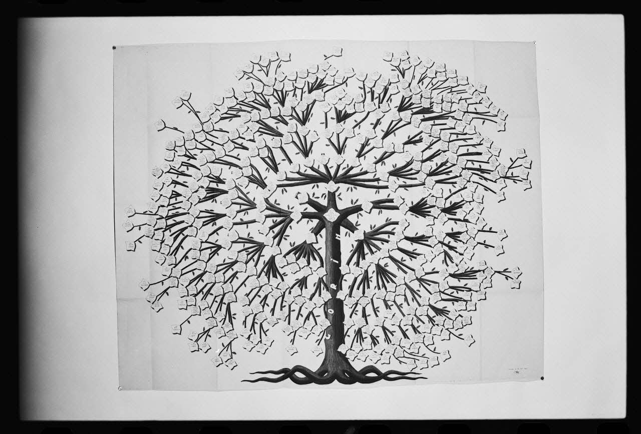 André Pelle photographie Arbre généalogique dessiné par M. André. Famille Gorin France 1972 Ph.1985.81.1 Photo