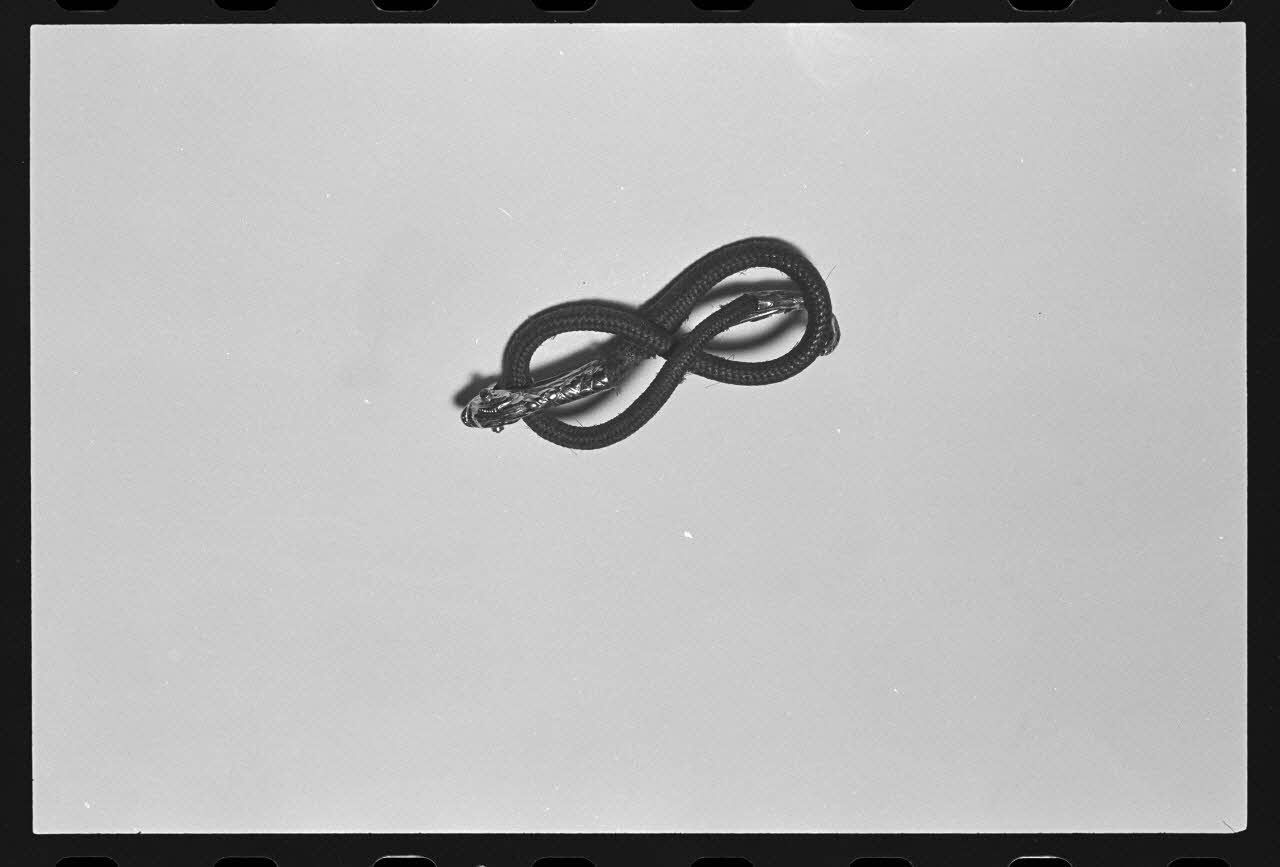 photographie Broche serpentiforme, du 19è siècle. Or, rubis, cheveux Ph.1986.1.487 Photo