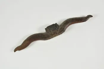 Xavier Parguey racloir Franche-Comté, France 1938 1943.73.13 Photo Mucem