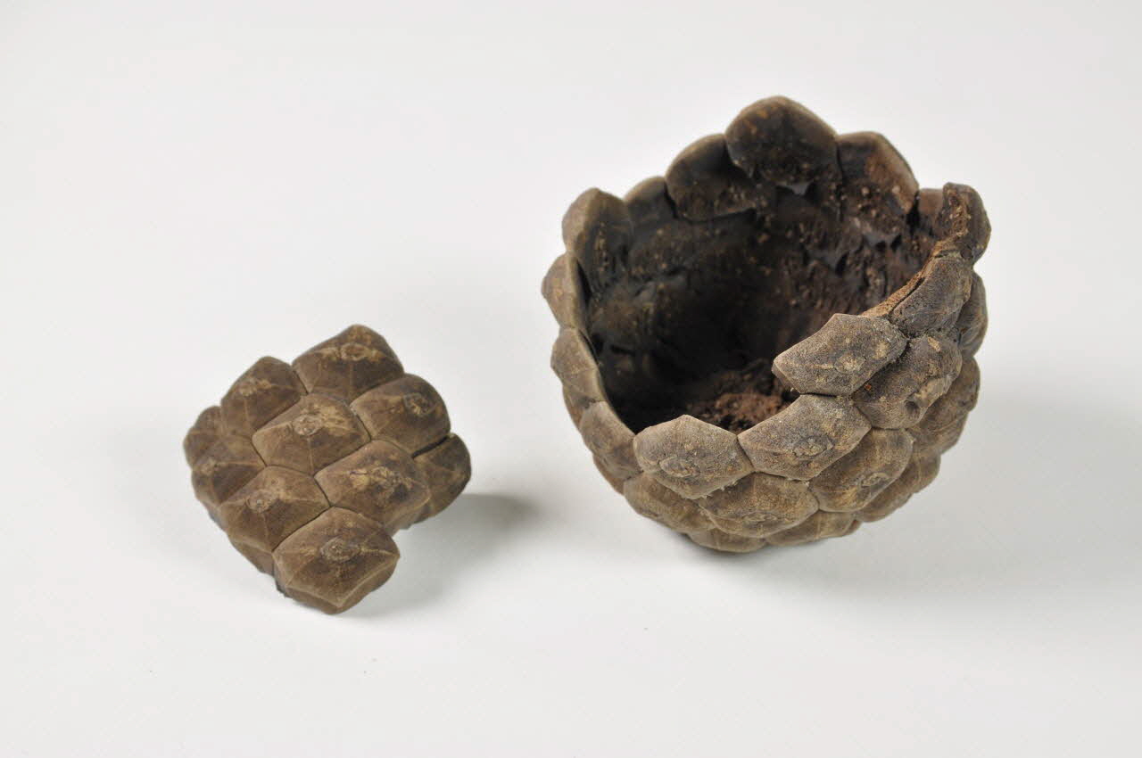 grenade 1516 2000.1.250.1-2 Photo Mucem