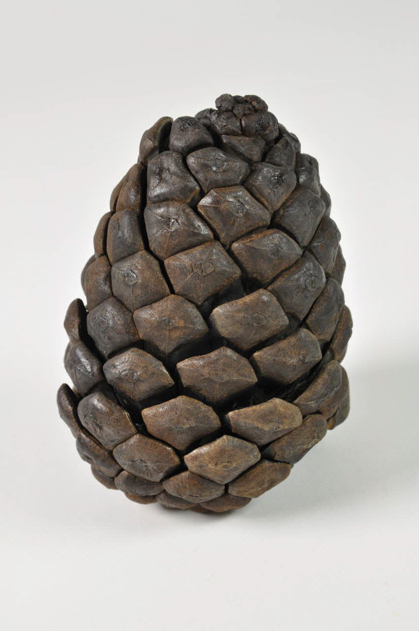 pomme de pin 1516 2000.1.252  Photo Mucem