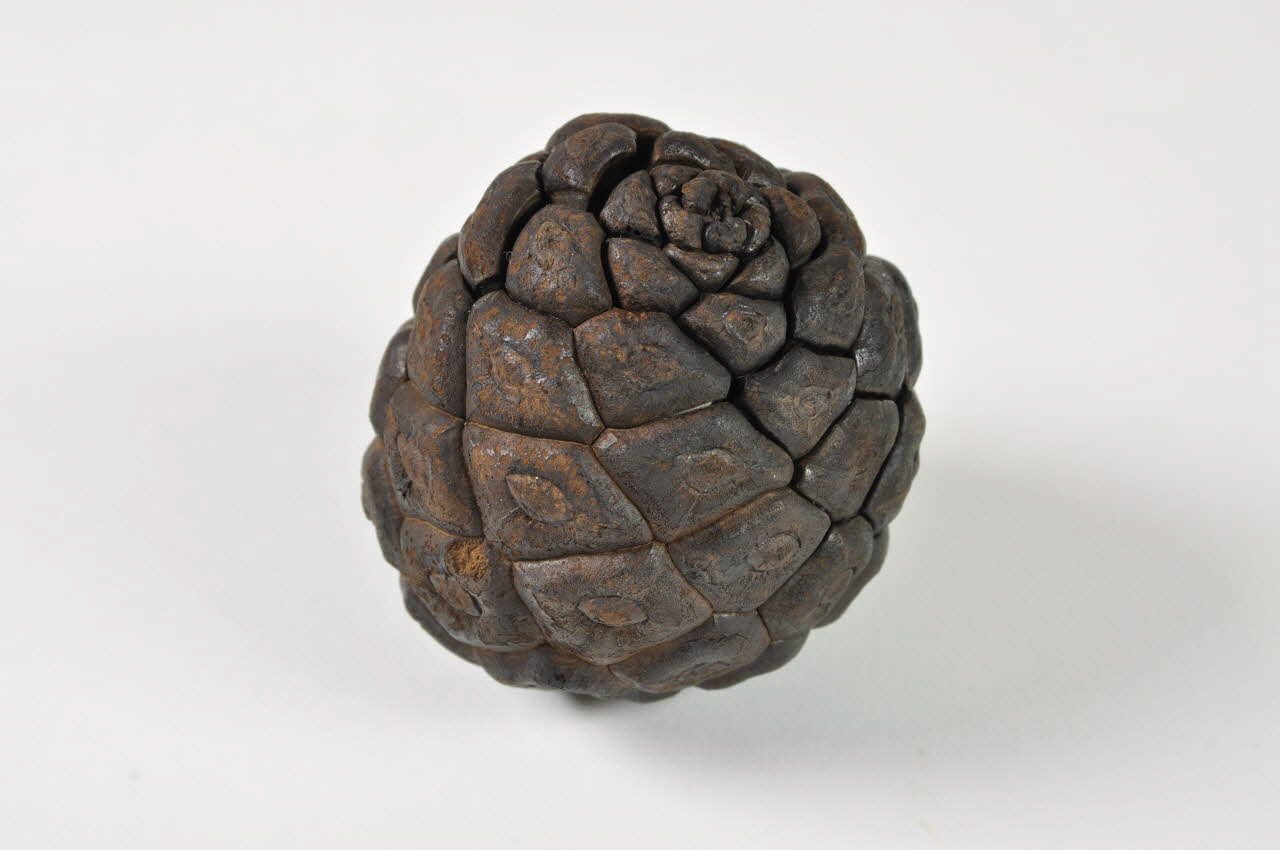 pomme de pin 1516 2000.1.253  Photo Mucem