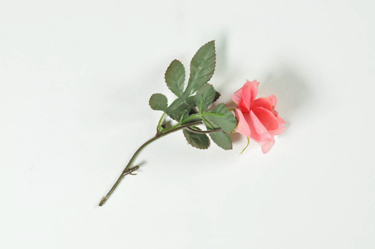 Hôpital Pasteur - Personnel et malades SOUVENIR Fleur artificielle Île-de-France, France 1999/12 2002.106.15 Photo Mucem