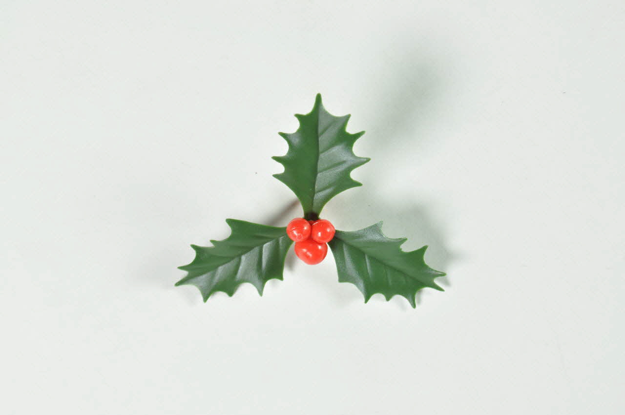 Hôpital Pasteur - Personnel et malades SOUVENIR Houx artificiel Île-de-France, France 1999/12 2002.106.18 Photo Mucem