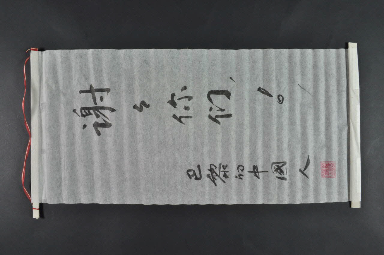 Hôpital Pasteur - Personnel et malades banderole Non à la fermeture Île-de-France, France 1999/12 2002.106.2 Photo Mucem