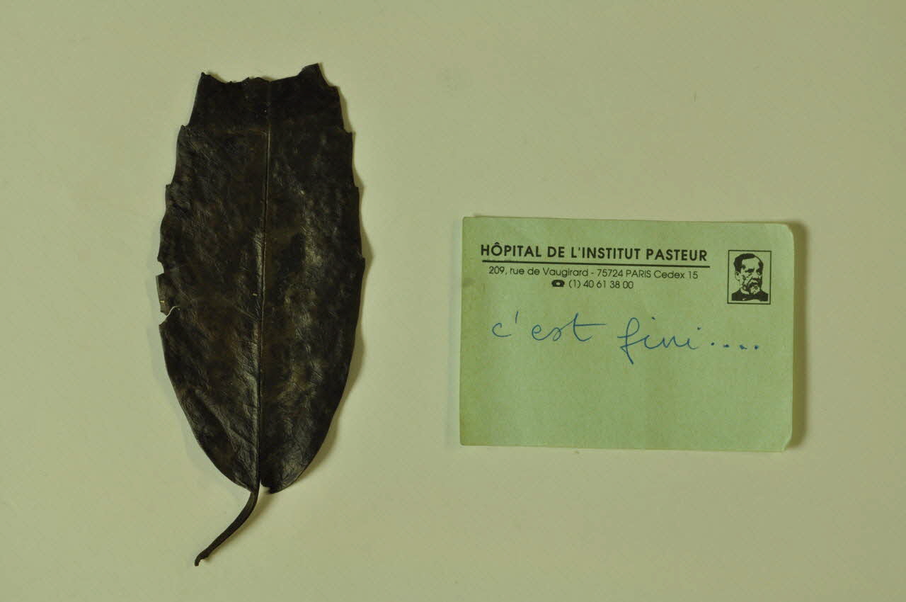 Hôpital Pasteur - Personnel et malades SOUVENIR Post it et feuille d'arbre Île-de-France, France 1999/12 2002.106.29.1-2 Photo Mucem