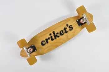 Cricket's ; ACS ; Powell-Peralta skateboard Etats-Unis 1975-1979 2000.29.157.1-7  Photo Mucem