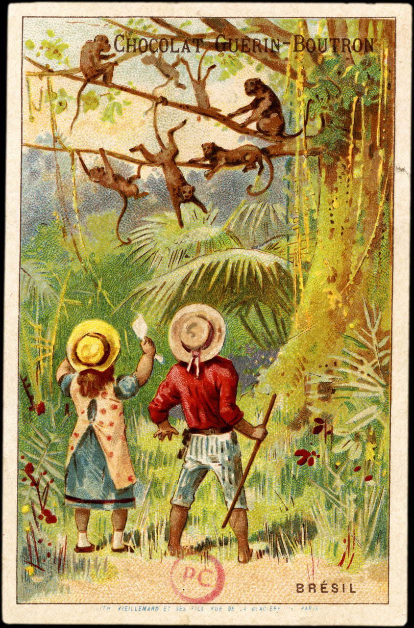 carte réclame BRESIL 1994.31.74.8 Photo