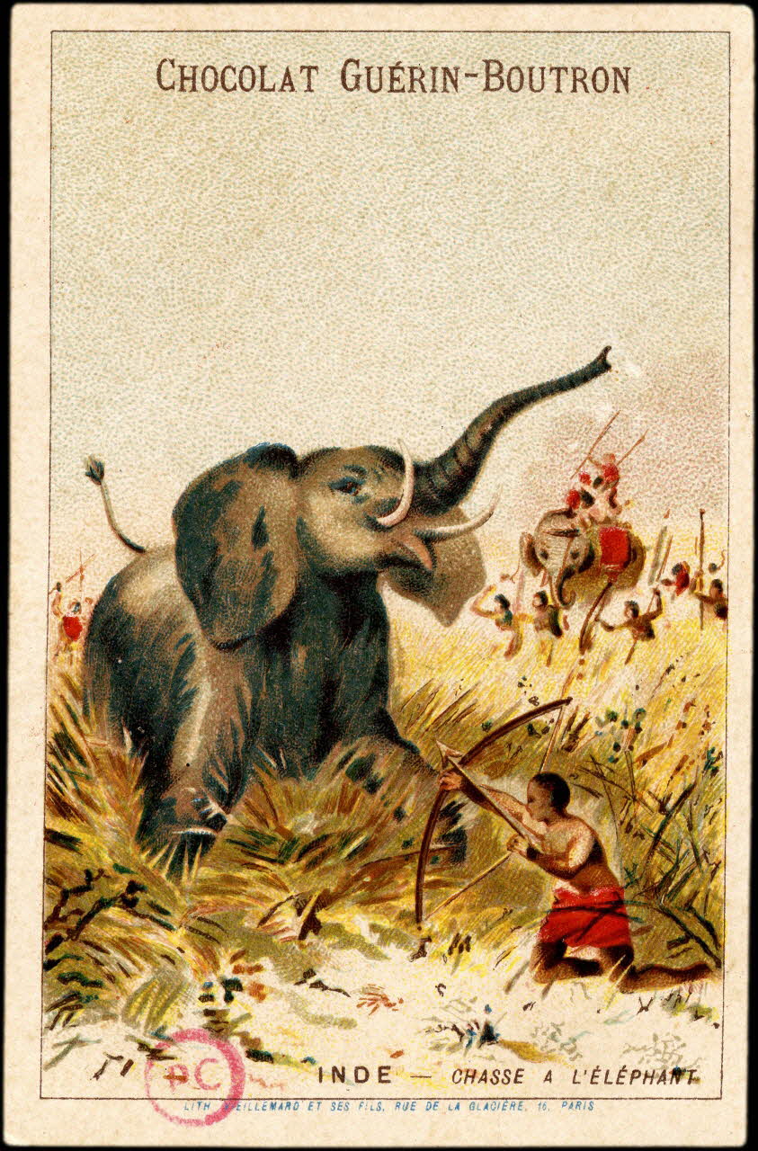 carte réclame INDE - CHASSE A L'ELEPHANT 1994.31.74.18 Photo