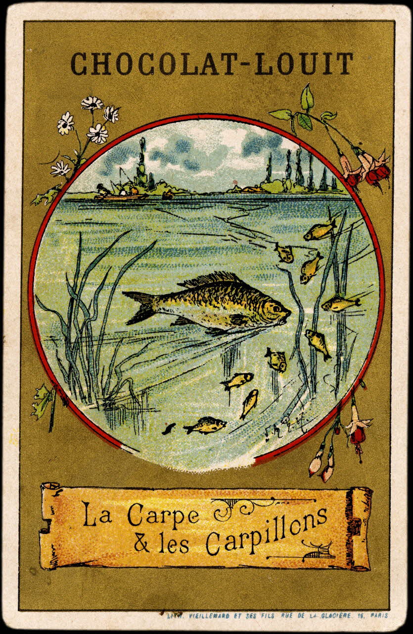 Baster & Vieillemard carte réclame chromo Paris 1889-1895 1995.1.133.9 Photo