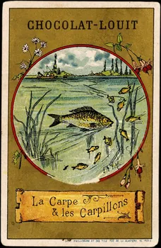 Baster & Vieillemard carte réclame chromo Paris 1889-1895 1995.1.133.9  Photo