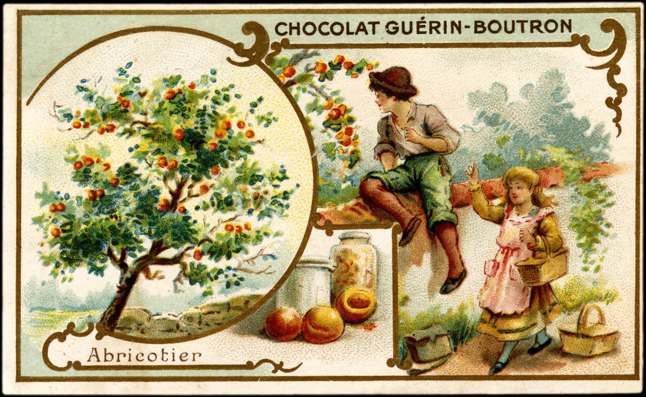 Herold; carte réclame chromo Paris 1895-1914 1995.1.221.2 Photo