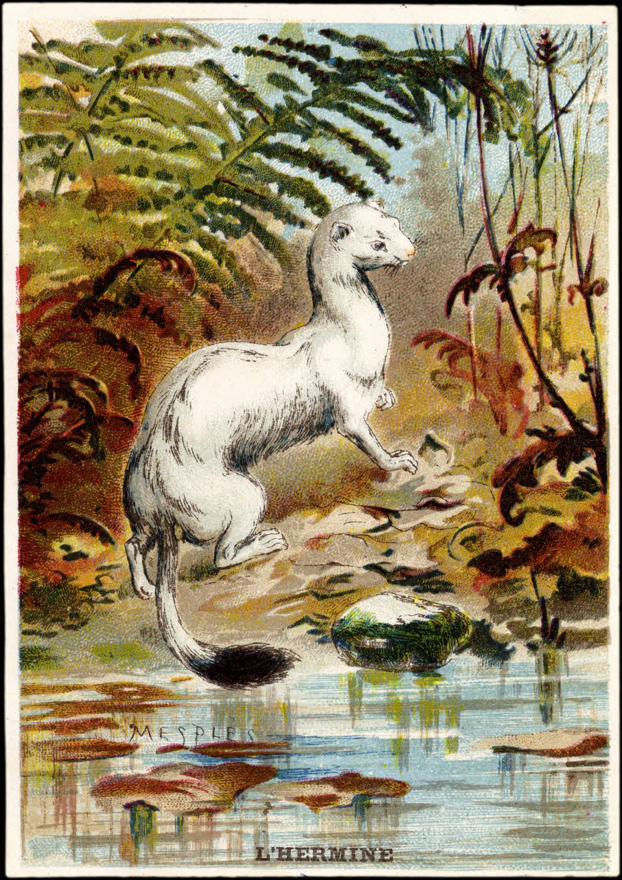 E Mesplès ; Baster & Vieillemard carte réclame chromo Paris 1878-1914 1995.1.120.15 Photo