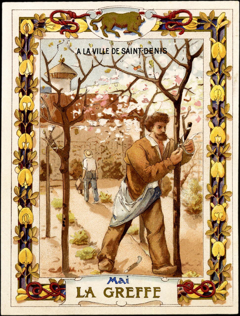 Herold; carte réclame chromo Paris 1895-1914 1995.1.569.5 Photo