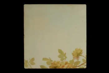 carreau 1920 1970.75.28 Photo
