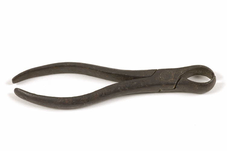 PINCE A NOISETTES 1978.60.27 Photo