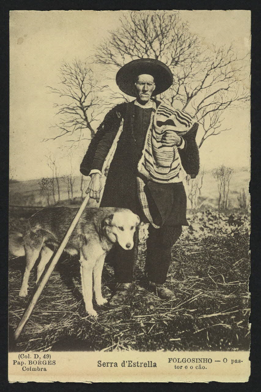 carte postale FOLGOSINHO, O PASTOR E O CAO, SERRA D'ESTRELLA 4P364 Photo