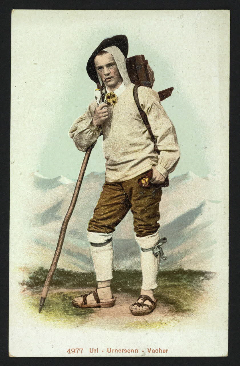 carte postale URNERSENN, VACHER 4P447 Photo