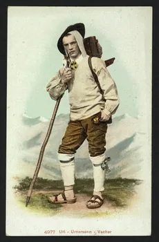carte postale URNERSENN, VACHER 4P447 Photo