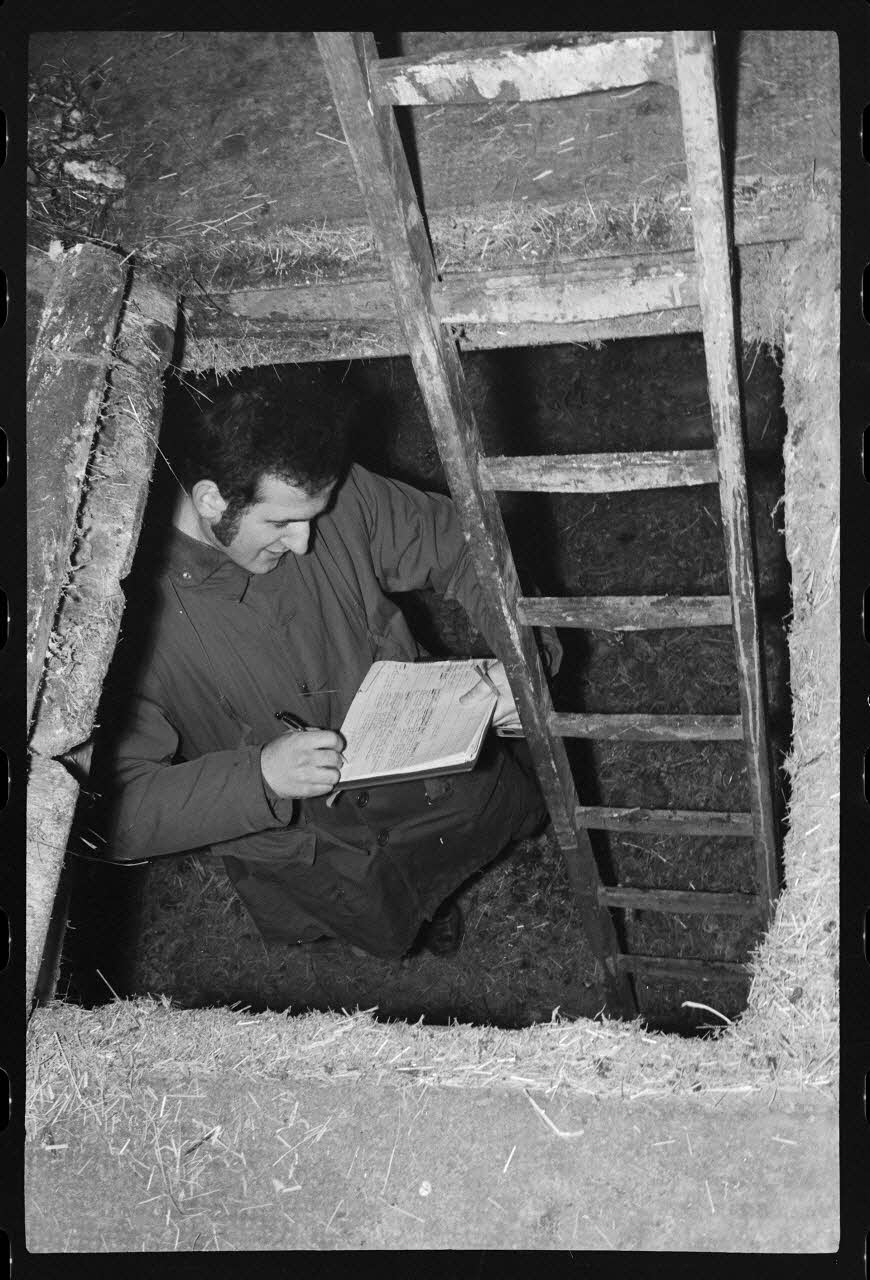 Albert Reynaud photographie Ferme de Monsieur Frick. Echelle descendant dans la cave aux betteraves Alsace, France 1971 Ph.1971.100.25 Photo