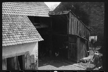 Claude Desbois photographie Chez Monsieur J.J. Adam. Toit de l'étable et la porcherie, le hangar et les W.C Alsace, France 1971 Ph.1971.100.8 Photo