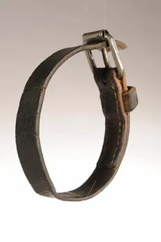 collier de chien 1959 1959.110.137 Photo