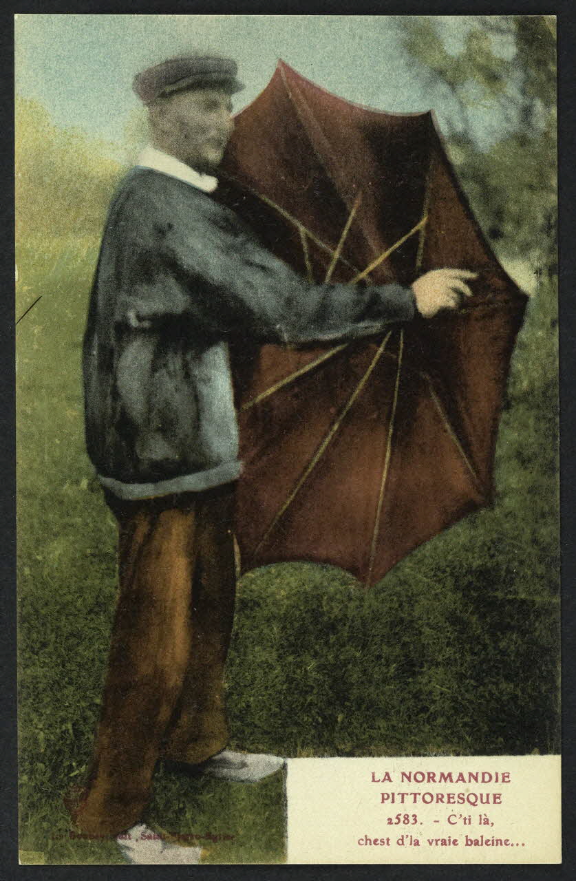 carte postale LA NORMANDIE PITTORESQUE 4P1192 Photo