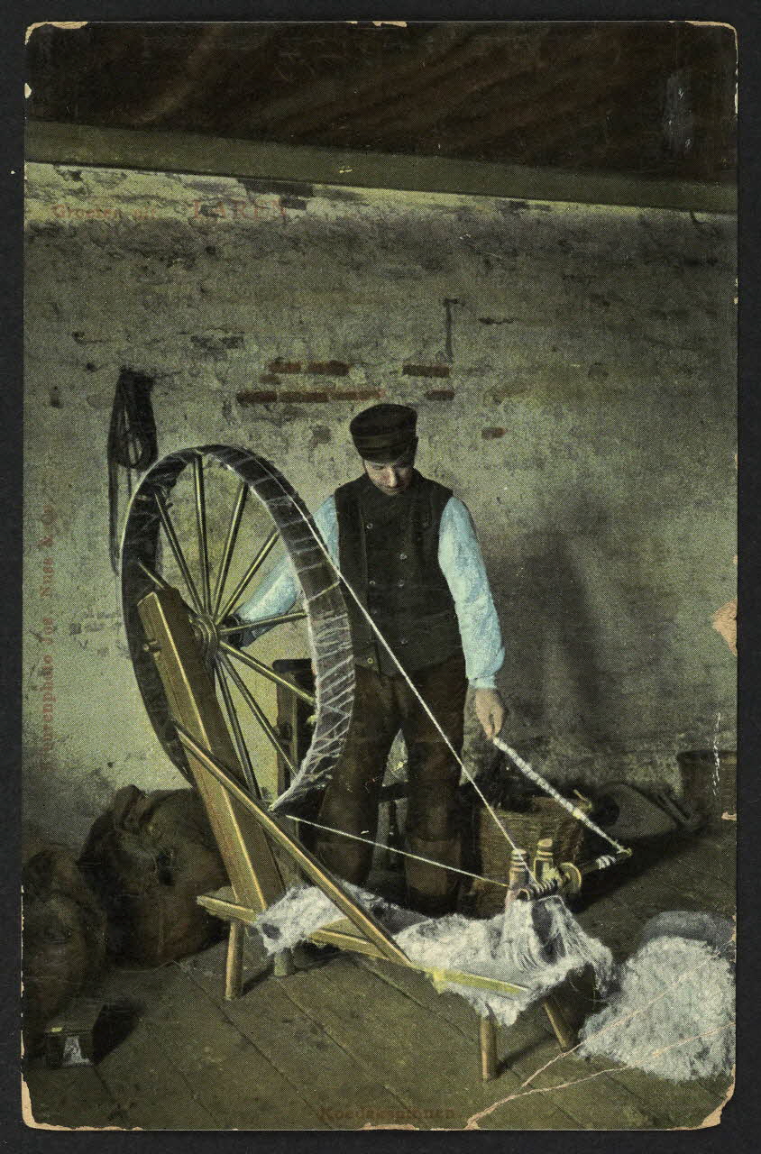 carte postale KOEDEKSPINNEN 4P1275 Photo